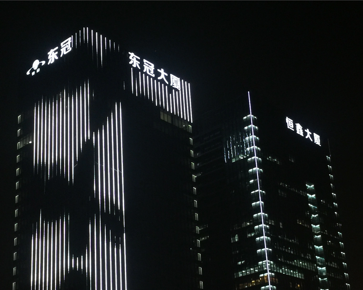 杭州东冠大厦恒鑫大厦项目图片2