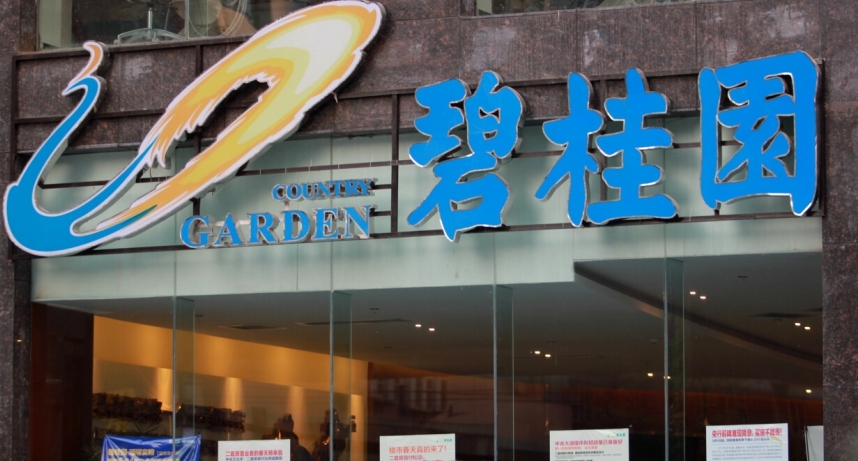 淮南碧桂园项目图片1