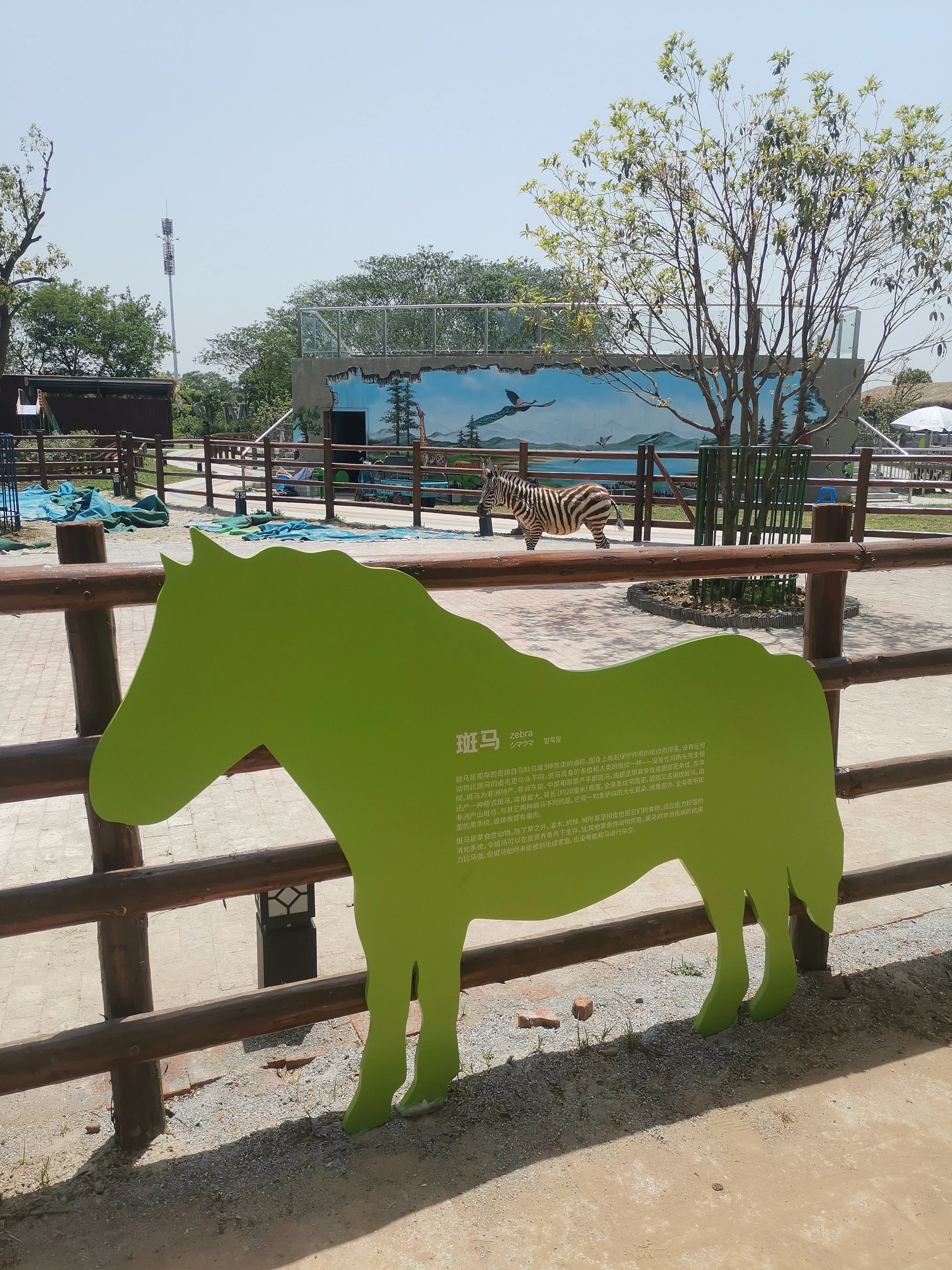 苏州西山开心农场项目实景